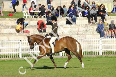 mon300913__395