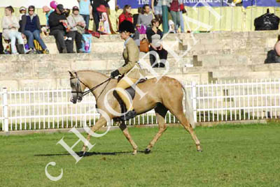 mon300913__399