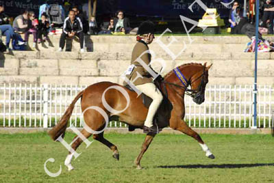 mon300913__424