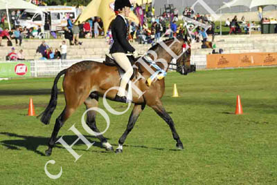 mon300913__457