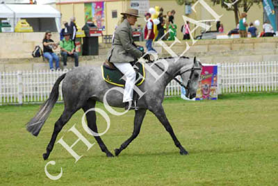 sat51013_135