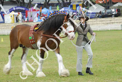 sat51013_171