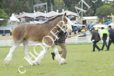 sat51013_176
