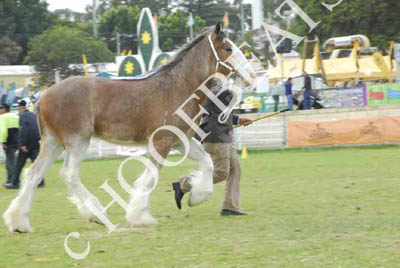 sat51013_178