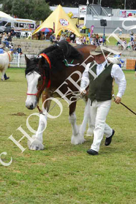 sat51013_286