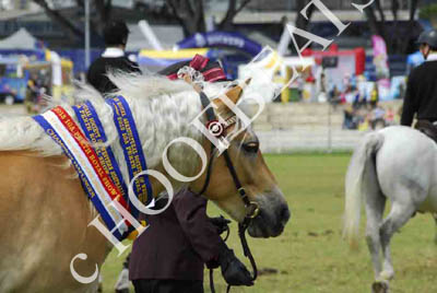 sat51013_294