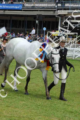 sat51013_300