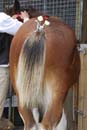 sat51013_310