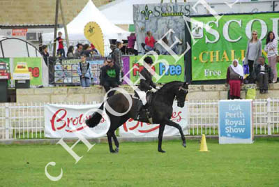 sun290913__240