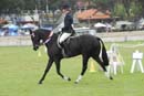sun290913__289