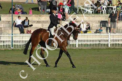 thur31013-a974