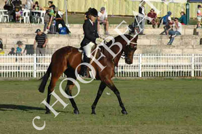 thur31013-a975