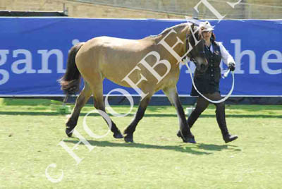 tues11013_179