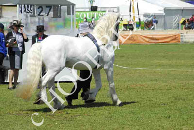 tues11013_191
