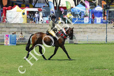 tues11013_237
