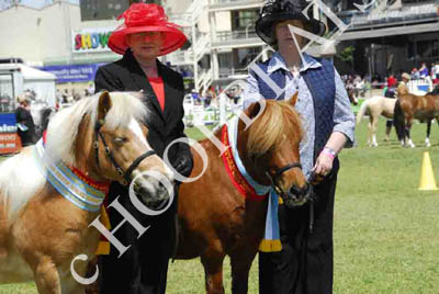 tues11013_287