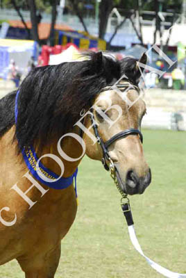 tues11013_305