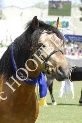 tues11013_325