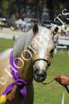tues11013_350