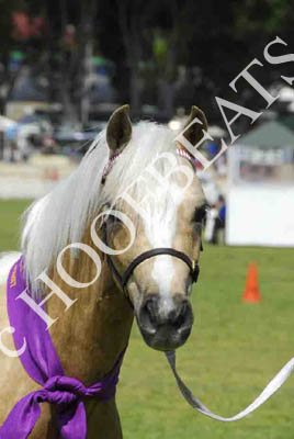 tues11013_352