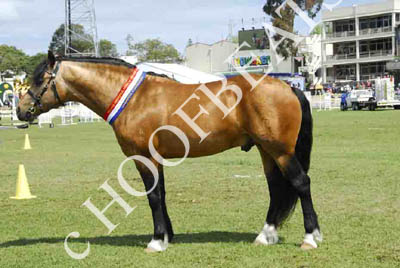 tues11013_353