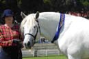 tues11013_172