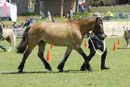 tues11013_178