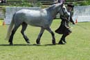 tues11013_181