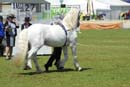 tues11013_191