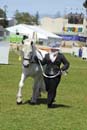 tues11013_192