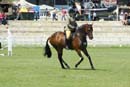 tues11013_199