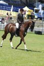 tues11013_204