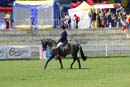 tues11013_217