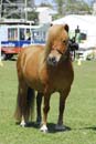 tues11013_257