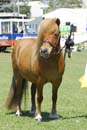 tues11013_258
