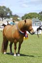 tues11013_263