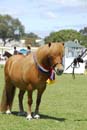 tues11013_264