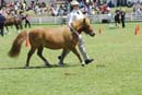 tues11013_268