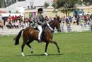 tues11013_279