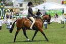 tues11013_281