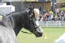 tues11013_307