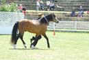 tues11013_326