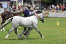 tues11013_327