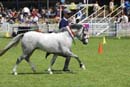 tues11013_328