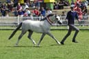 tues11013_329