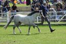 tues11013_336
