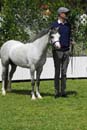 tues11013_342