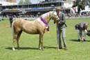 tues11013_346