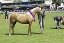 tues11013_347