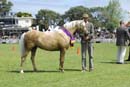 tues11013_348